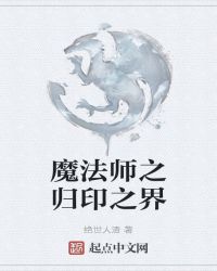 魔法师之归印之界封面