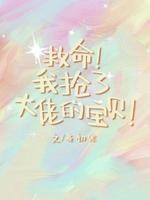 我抢了大佬的宝贝封面