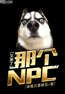 那个NPC又来了封面