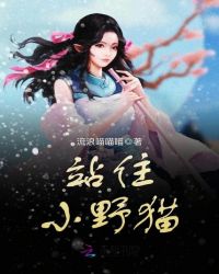 站住，小野猫！封面