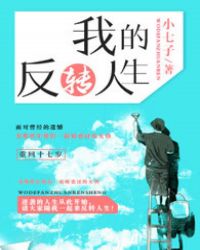 我的反转人生封面
