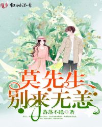 莫先生别来无恙封面