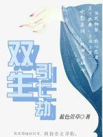 双生引七劫封面