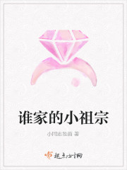 谁家的小祖宗封面