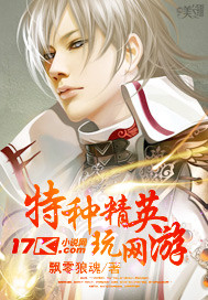 特种精英玩网游封面