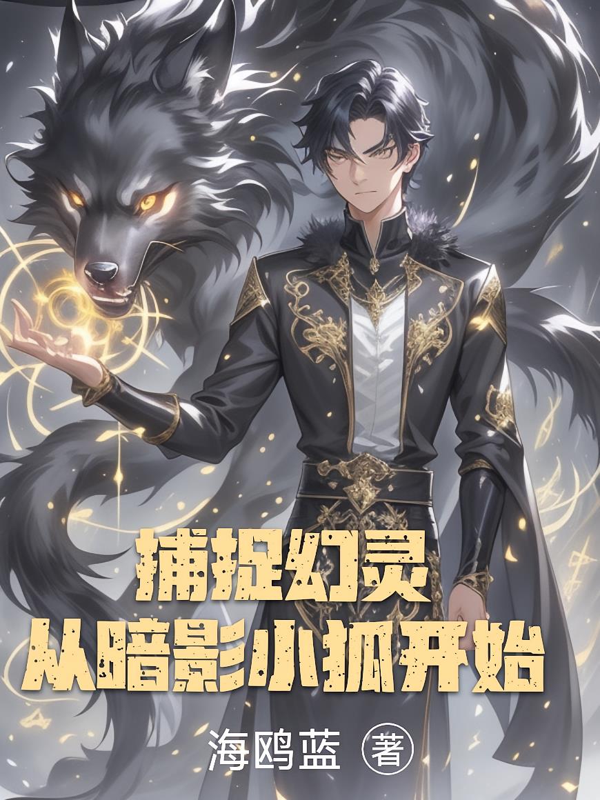 捕捉幻灵:从暗影小狐开始封面