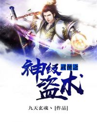 武侠之神级盗术封面