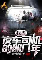 我当夜车司机的那几年封面
