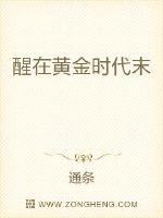 醒在黄金时代末封面