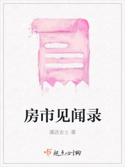 房市见闻录封面