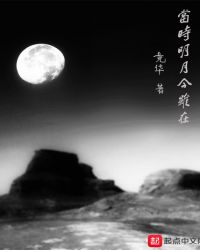 当时明月今虽在封面