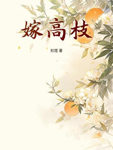 嫁高枝封面