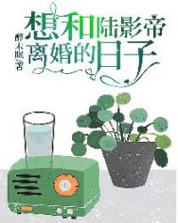 想和陆影帝离婚的日子封面