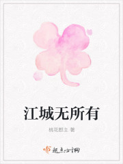 江城无所有封面