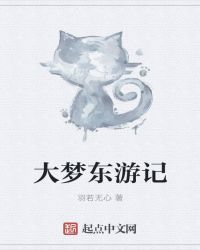 大梦东游记封面