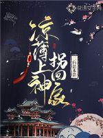 凉薄上神拐回家封面