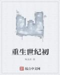 重生世纪初封面