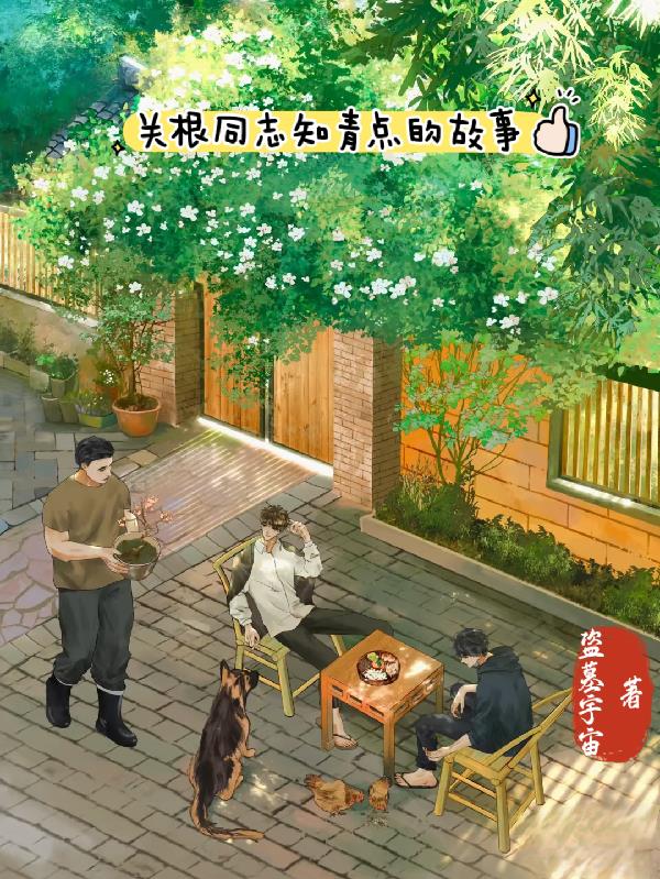 关根同志知青点的故事封面