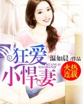 狂爱小悍妻封面