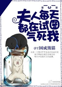 夫人每天都在试图气死我封面