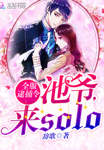 全服逮捕令:池爷,来solo封面