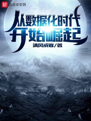 从数据化时代开始崛起封面