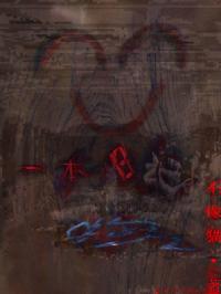 一本日记哟封面