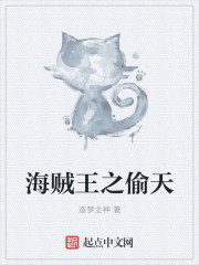 海贼王之偷天封面