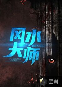 风水大师封面