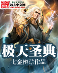 极天圣典封面