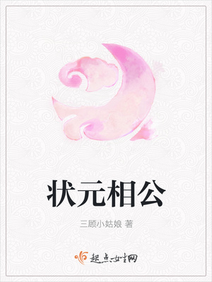 状元相公封面