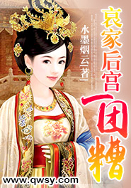 哀家后宫一团糟封面