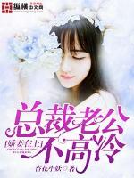 娇妻在上:总裁老公不高冷封面