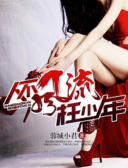 人不风流枉少年封面