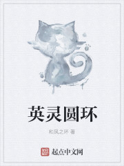 英灵圆环封面