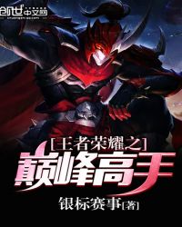 王者荣耀之巅峰高手封面