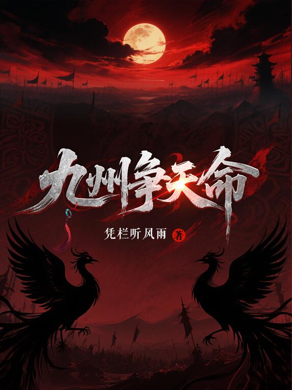 九州争天命封面