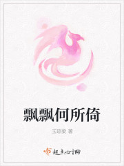飘飘何所倚封面