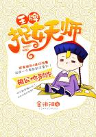 王牌捉妖师：相公你别跑封面