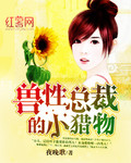 总裁的小猎物封面