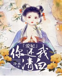 爱妃，你还我清白！封面