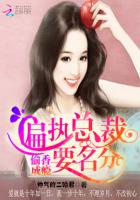 偏执总裁要名分：偷香成瘾封面
