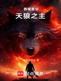 吞噬星空:天狼之主封面