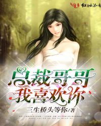 总裁哥哥我喜欢你封面