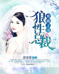 狼性总裁闹够了没封面