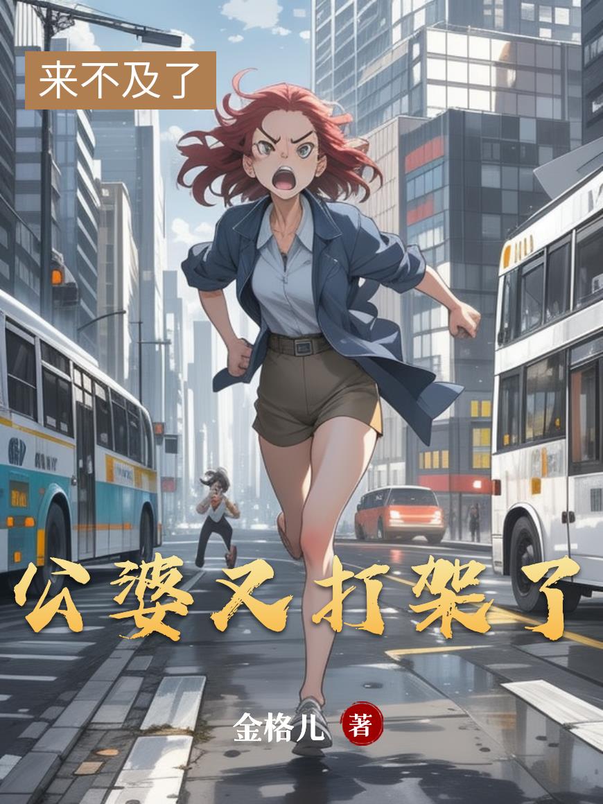 公婆又打架了封面