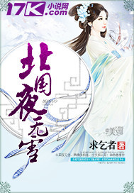 北国夜无雪封面