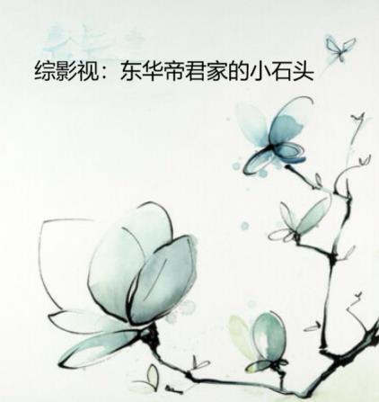 综影视：东华帝君家的小石头封面