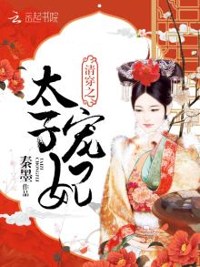 清穿之太子宠妃封面