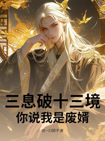 三息破十三境，你说我是废婿？封面